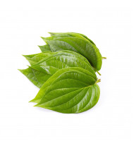 FRESH BETEL LEAVES 10 PCS