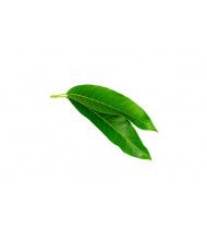 FRESH POOJA MANGO LEAVES BUNCH 1 PC